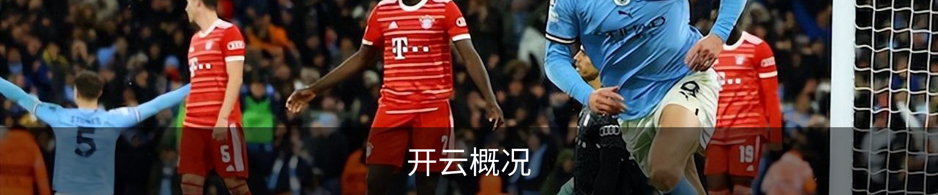 开云概况
